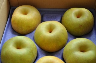 幸水5kg箱 A品 大玉 8〜14個 - 梨やさん 渡辺農園